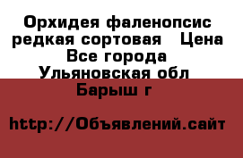 Орхидея фаленопсис редкая сортовая › Цена ­ 800 - Все города  »    . Ульяновская обл.,Барыш г.